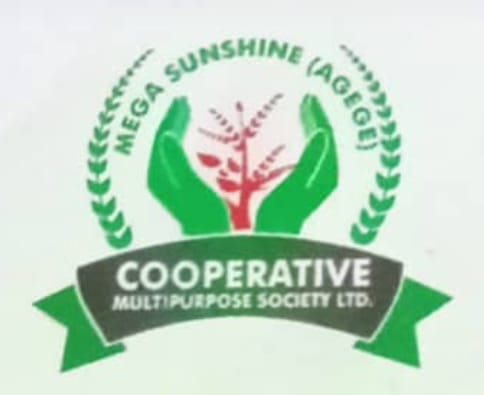 We provide complete Cooperative solutions.